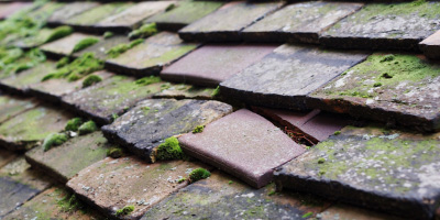 Wootton roof repair costs
